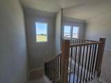 4401 Aralia Street - Photo 11