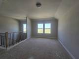 4401 Aralia Street - Photo 8