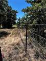 7846 County Road 452 - Photo 28
