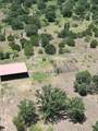 7846 County Road 452 - Photo 33