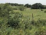 1210 County Road 341 - Photo 19