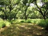 6108 Cottonwood Creek Road - Photo 23