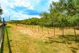 134 Stardust Trail - Photo 33