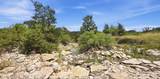 2875 County Road 610 - Photo 12