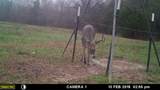 1004 County Road 4574 - Photo 36
