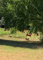 4571 Running Branch - Photo 26