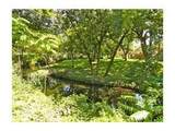 4859 Cedar Springs Road - Photo 10