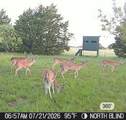 315 County Road 2240 - Photo 40