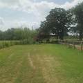 7676 County Road 247 - Photo 10