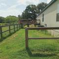 7676 County Road 247 - Photo 13