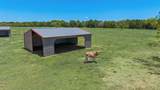 7999 County Road 151 - Photo 39