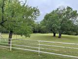 296 Bluff Springs Road - Photo 24
