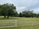 296 Bluff Springs Road - Photo 25