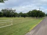 296 Bluff Springs Road - Photo 27