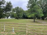 296 Bluff Springs Road - Photo 8