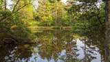 113 Breezy Road - Photo 29