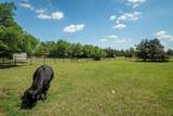 14392 State Highway 78 - Photo 39