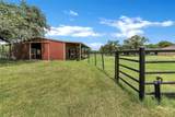 3911 Highway 281 - Photo 23
