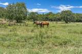 3911 Highway 281 - Photo 37