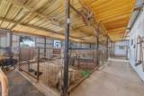 186 County Road 520 - Photo 30