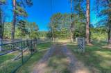 447 Burrow Lane - Photo 21