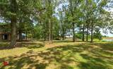 380 Terra Circle - Photo 13