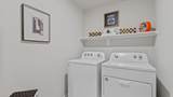 1520 Lemon Tree Lane - Photo 36