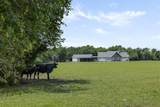 3738 Country Road 222 - Photo 36