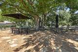200 Cool Junction Road - Photo 28