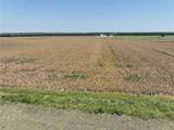 96 Acres Fm 137 - Photo 5