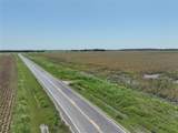 96 Acres Fm 137 - Photo 6