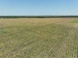 96 Acres Fm 137 - Photo 7