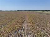 96 Acres Fm 137 - Photo 8