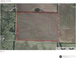 61 Acres Fm 137 - Photo 10