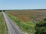 61 Acres Fm 137 - Photo 3