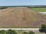 61 Acres Fm 137 - Photo 8