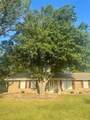 2601 Park Street - Photo 17
