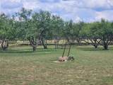 1500 Loop 254 - Photo 14
