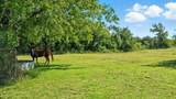 5929 County Road 371 - Photo 38