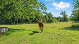 5929 County Road 371 - Photo 39