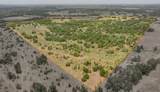 TBD County Road 507 - Photo 40