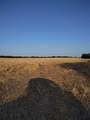 461 County Road 309 - Photo 7