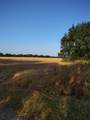 461 County Road 309 - Photo 8
