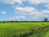 000 County Road 1604 - Photo 10