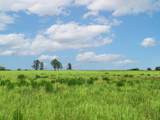 000 County Road 1604 - Photo 23