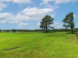 000 County Road 1604 - Photo 26