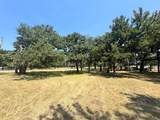 1401 Park Street - Photo 14