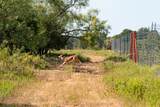 897 Wilson - Photo 11