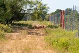 897 Wilson - Photo 12