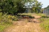 897 Wilson - Photo 9